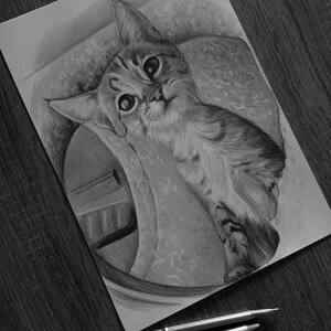 Pet Portrait, Pet Drawing, Animals illustration, Pet Lovers, Pencil art, Hand drawn pet portrait, Hand drawn pets, Hand Drawing of a cat dog