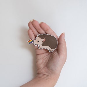 May include: A brown and white hedgehog holding a rainbow flag. The hedgehog is a sticker.