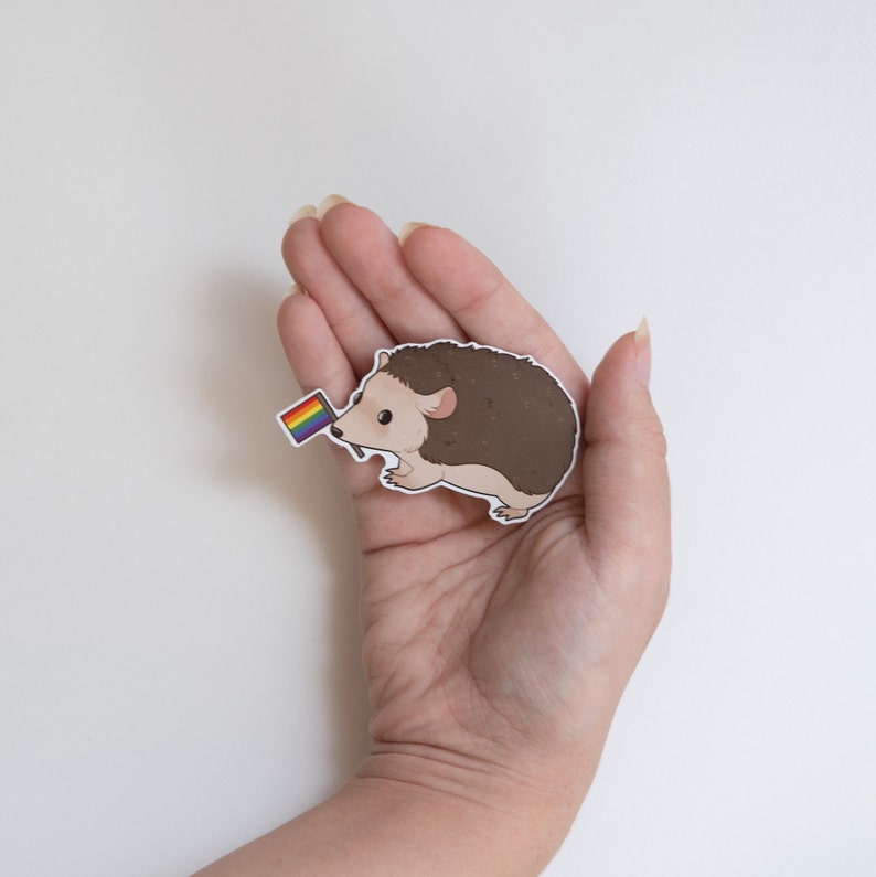 May include: A brown and white hedgehog holding a rainbow flag. The hedgehog is a sticker.