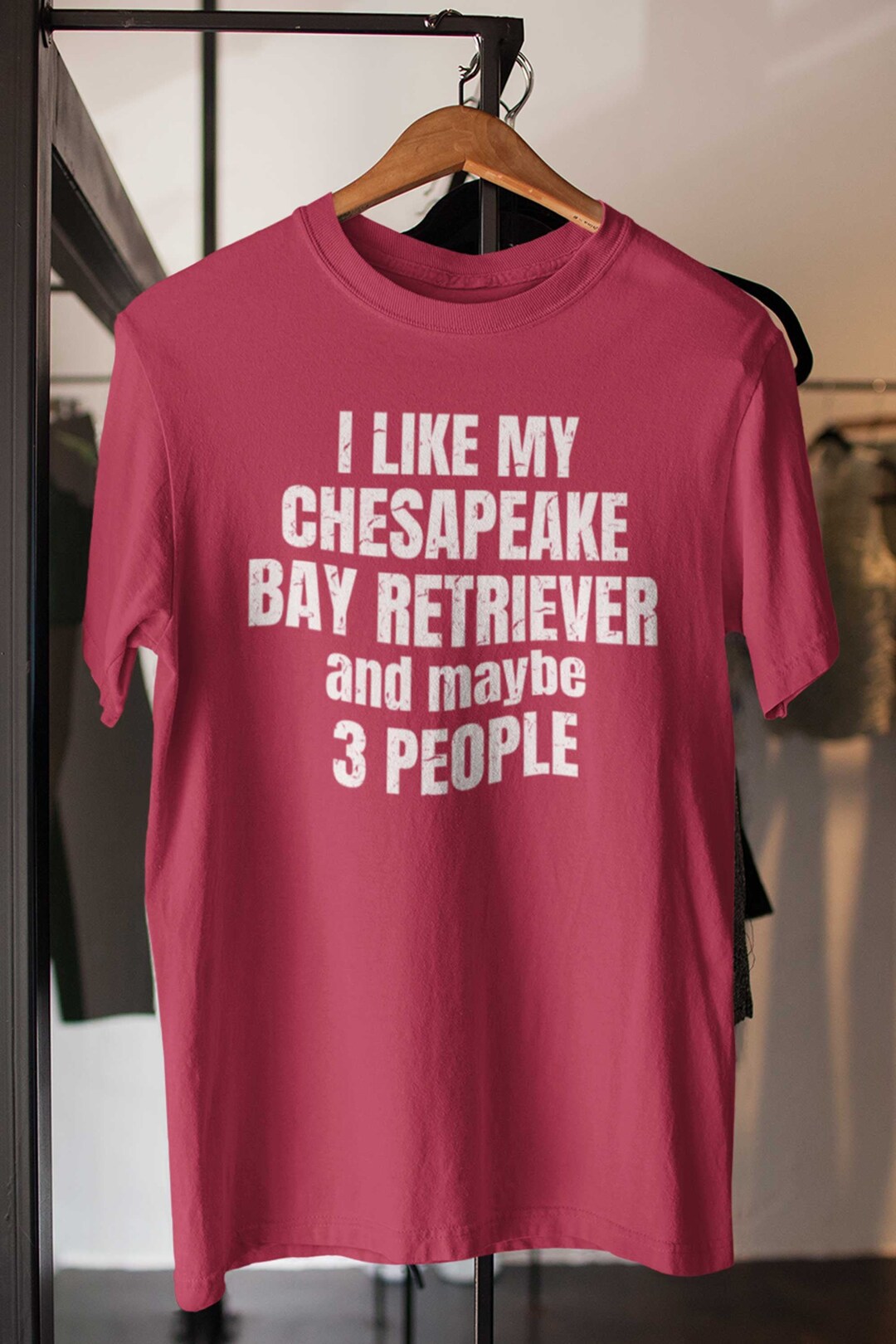Chesapeake Bay Retriever shirt! Chesapeake Bay Retriever Gifts for the ...