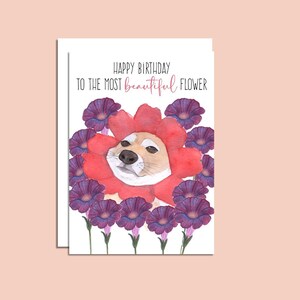 Birthday Cards | Dog Cards | Birthday Card | Funny Cards | Cute Animal Card | Happy Birthday | Card for Her | Cards for Him