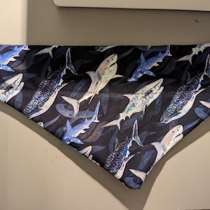 Sharks! Dog Bandana