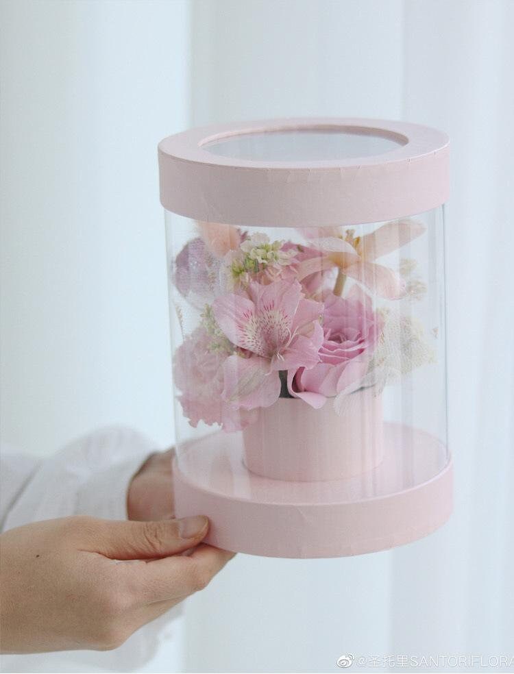 Cylinder Clear Flower & Gift Box Round Box Flower Box Hat Etsy