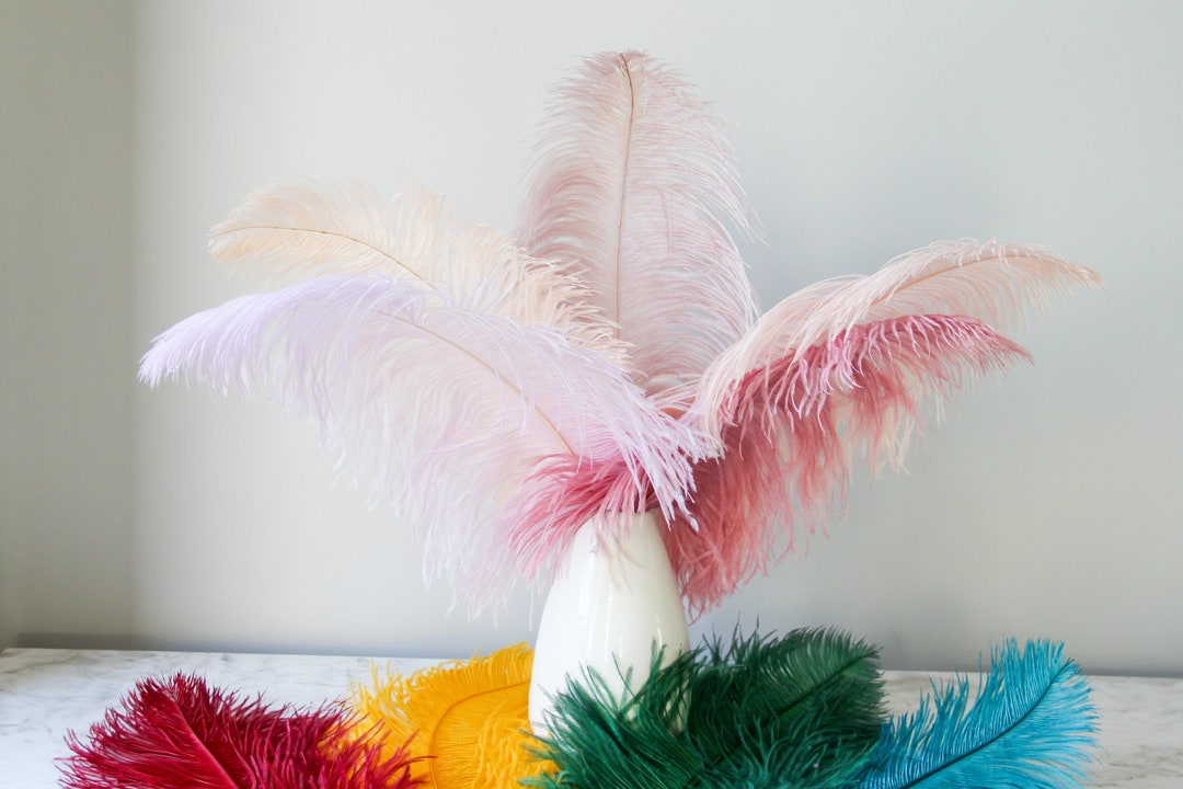 Feather Decoration, Feather Decor, Feather Centrepiece, Pink Feathers
