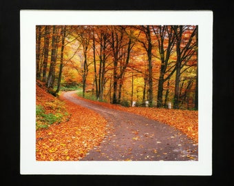 Autumn Road Landscape - Framed Print Photography