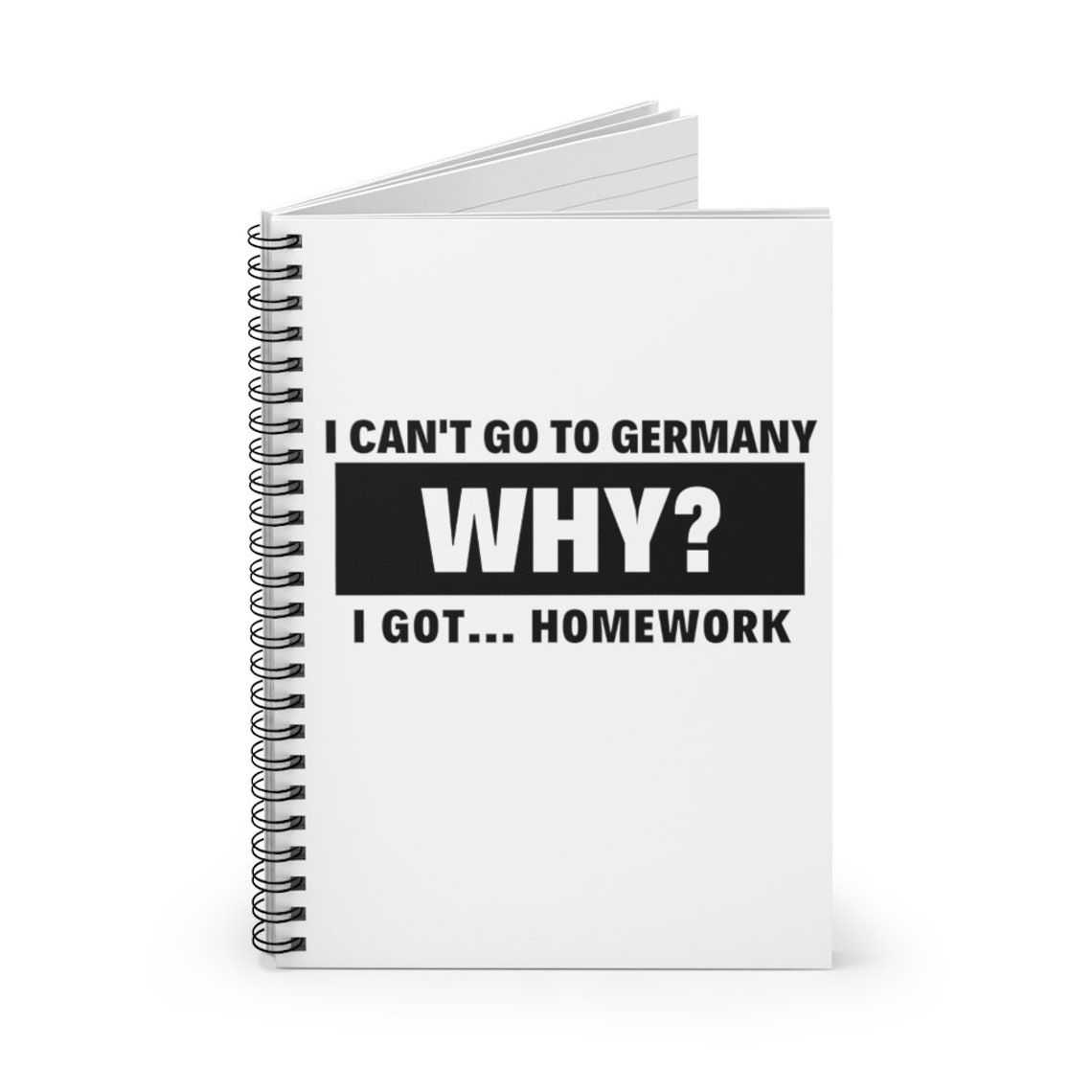 Peter parker and ned image