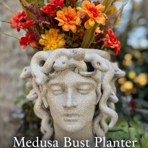 May include: A stone-finish Medusa bust planter featuring a sculpted head with snakes as hair, filled with artificial orange and red flowers. The text "Medusa Bust Planter" and "Hand Painted • Stone Finish" is printed on the front of the image.