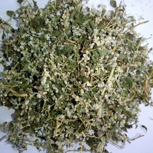 Aerva Lanata, Polpala ,Herbal Tea Natural Polpala, Pol-pala, Mountain Knotgrass , Linn image 9