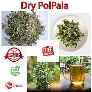 Aerva Lanata, Polpala ,Herbal Tea Natural Polpala, Pol-pala, Mountain Knotgrass , Linn image 1