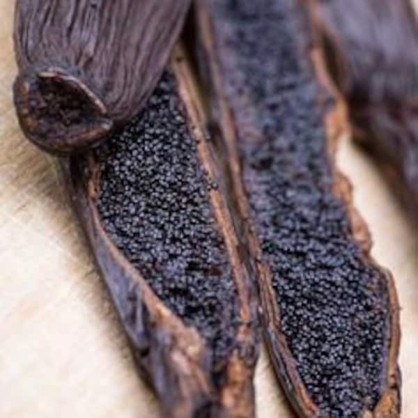 5 vainas de vainilla de Ceilán Grado A Gourmet Madagascar Su propio paquete sellado de vainilla