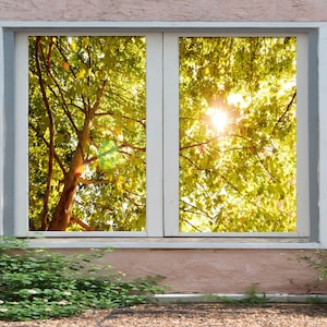 3D Sunny Forest W894 Window Film Print Sticker Cling Stained Glass Xmas Window Decor UV Heat Control Glass Privacy Window Film Romy