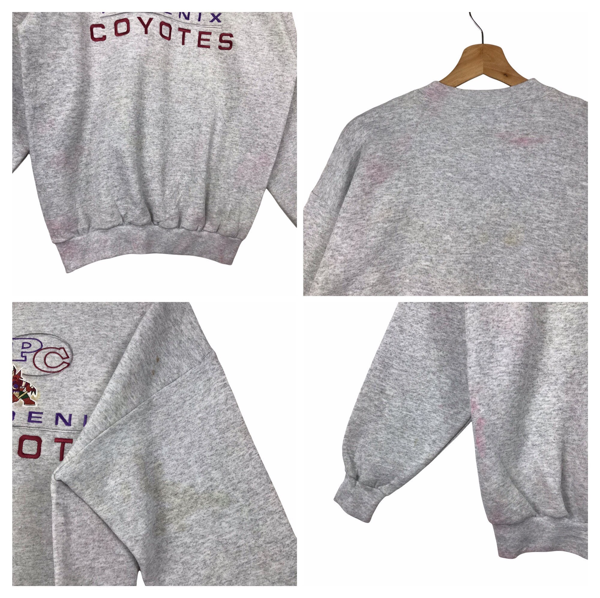 Arizona Coyotes Champion Vintage Ice Crewneck Sweatshirt
