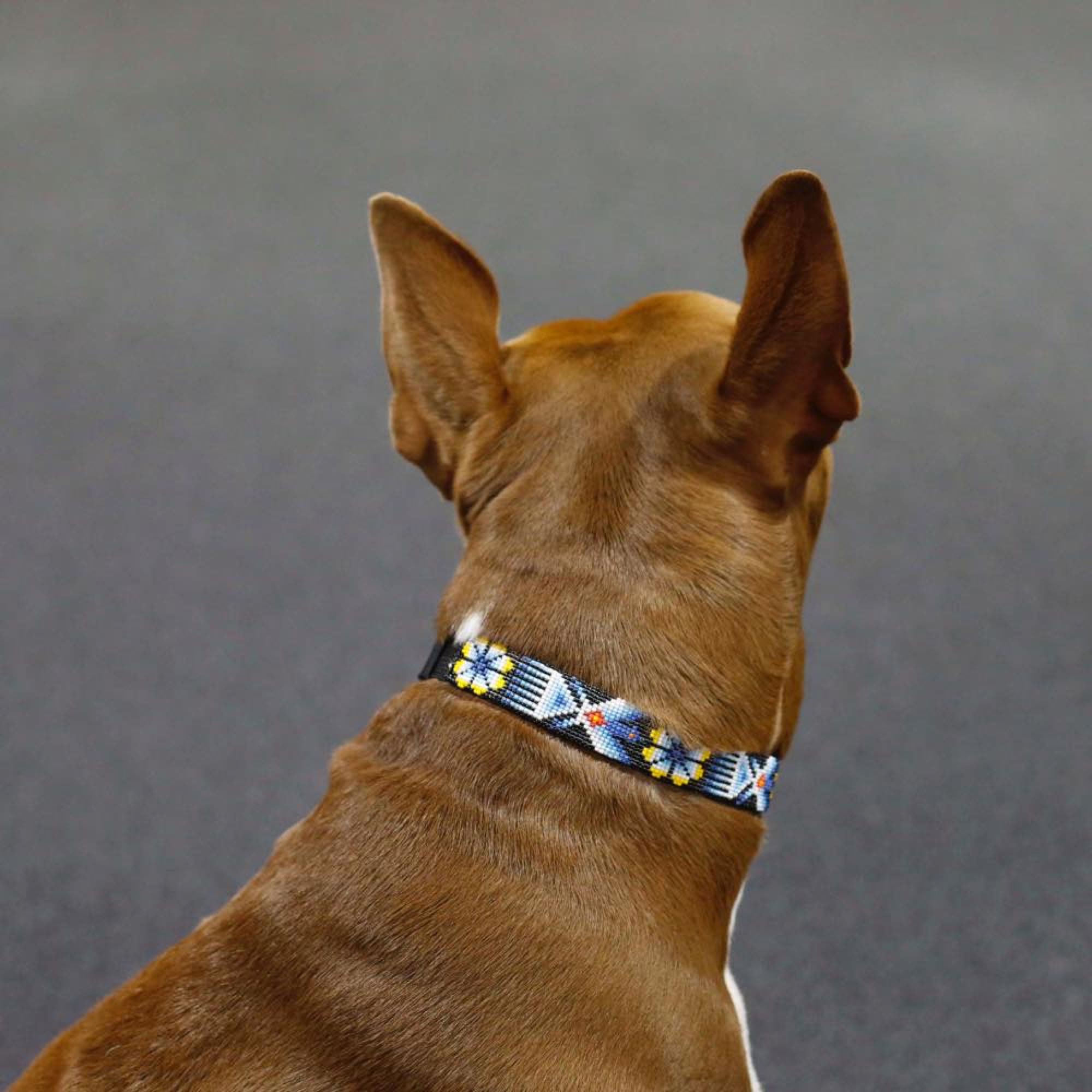 Fiesta Dog Collar Matching Bracelet by Boho Mango Handmade Etsy