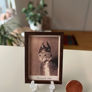 Cat dressed as Viking Nordic Brunhild brunhilde brunhilda vintage miniature framed photo tiny canvas print retro dollhouse or home decor