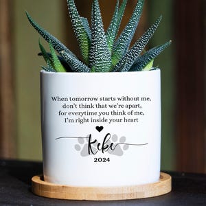 Puede incluir: Una maceta cilíndrica de cerámica blanca que contiene una planta suculenta verde. La maceta presenta un texto en negro que dice: When tomorrow starts without me, don't think that we're apart, for everytime you think of me, I'm right inside your heart. Debajo hay un corazón, el nombre Keke, huellas de patas y 2024.