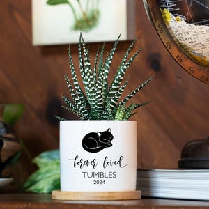 Personalized Cat Memorial Gift Planter - 3" White Pot - Cat Sympathy Gift, Cat Planter, Cat Loss Gifts, Cat Plant pot, Black Cat Memorial