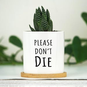 Friendship Gift - Mini "Please Don't Die" Planter - 3" Mini White Ceramic Pot w/ Bamboo Tray - Custom Succulent Pot - Cubical Decor