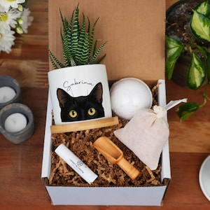 Personalized Black Cat Spa Gift Box - 3" White Ceramic Pot - Black Cat Planter, Cat Lover Gift, Cat Gifts, Cat Mom, Witchy Gifts, Cat Daddy