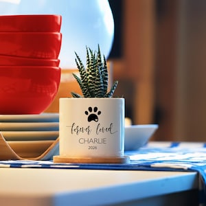 May include: A white cylindrical ceramic planter containing a small green succulent plant. The planter features a black paw print graphic above the text "forever loved", "CHARLIE", and "2026" printed in black ink on the front surface.