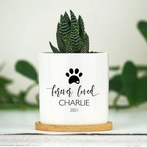 May include: A white cylindrical ceramic planter with a bamboo saucer base containing a green succulent. The front features a black paw print icon above the text "forever loved", the name "CHARLIE", and the year "2021" in black lettering.