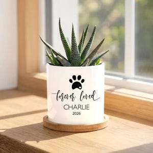 Personalized Dog Memorial Gift Planter - 3" White Ceramic Pot w/ Bamboo Tray - "Forever Loved" - Dog Sympathy Gift - Pet Memorial