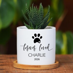 May include: A white cylindrical ceramic planter featuring a black paw print icon with a small heart, the text "forever loved", the name "CHARLIE", and the year "2026". The planter sits on a circular bamboo saucer and contains a green succulent.