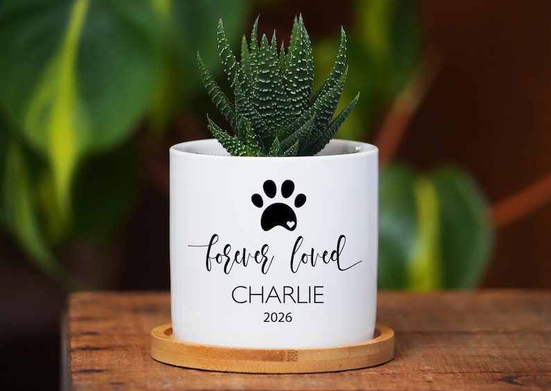May include: A white cylindrical ceramic planter featuring a black paw print icon with a small heart, the text "forever loved", the name "CHARLIE", and the year "2026". The planter sits on a circular bamboo saucer and contains a green succulent.