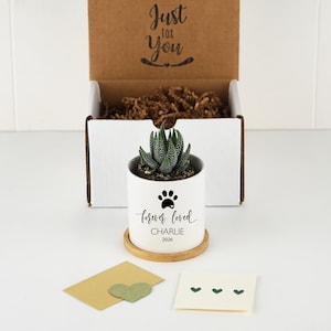 May include: A small green succulent in a white ceramic planter with a bamboo saucer. The planter features a black paw print, the text "forever loved", "CHARLIE", and "2026". Behind it is an open cardboard box with "Just for You" printed inside.