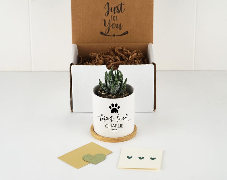 May include: A small green succulent in a white ceramic planter with a bamboo saucer. The planter features a black paw print, the text "forever loved", "CHARLIE", and "2026". Behind it is an open cardboard box with "Just for You" printed inside.