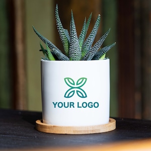 Prezent z logo klienta - 3" biała ceramiczna doniczka z bambusową tacką - Prezenty firmowe - Prezent z logo firmy, Prezent z logo, Doniczka na sukulenty, Niestandardowa doniczka