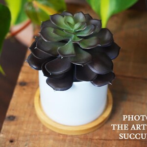A potted artificial succulent plant with dark green leaves sits on a wooden surface, with a blurred background of more potted plants.