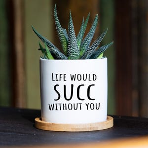 La vita sarebbe un successo senza di te - Vaso in ceramica da 3" - Regalo per cognata, regalo divertente per sorella, regalo per fratello, regalo per sorellina, regalo per sorella maggiore