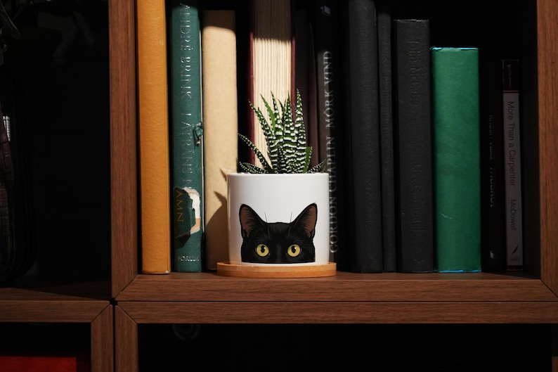 Schwarzer Katzen-Sukkulententopf – 7,6 cm weißer Keramiktopf – Pflanzgefäß für schwarze Katzen, Geschenk für Katzenliebhaber, Katzenohren, Katzengeschenke, Geschenk für Katzenmütter, neugierige Katze, Hexengeschenke Bild 3