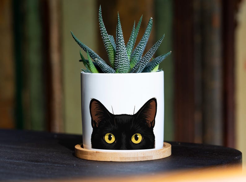 Schwarzer Katzen-Sukkulententopf – 7,6 cm weißer Keramiktopf – Pflanzgefäß für schwarze Katzen, Geschenk für Katzenliebhaber, Katzenohren, Katzengeschenke, Geschenk für Katzenmütter, neugierige Katze, Hexengeschenke Bild 1