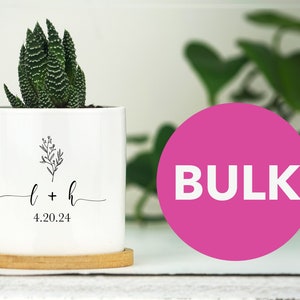Fioriere all&#39;ingrosso con logo personalizzato - Vaso da 3&quot; con vassoio - Regalo aziendale personalizzato - Regalo aziendale - Bomboniere all&#39;ingrosso, regali di Natale all&#39;ingrosso
