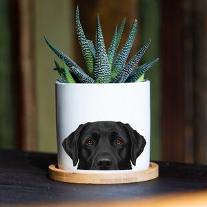 Personalized Dog Planter (ANY DOG!) - 3" White Ceramic Pot - French Bulldog Gift, Dog Lover Gift, Dog Gifts, Dog Mom, Dog Memorial Gift