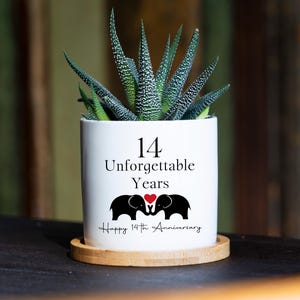 14th Anniversary Gift - 3" White Ceramic Pot, 14th anniversary gift, Wedding Anniversary, 14th Anniversary Gift for Him,Anniversary Gift Box