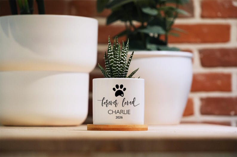 May include: A white cylindrical ceramic planter sitting on a circular wooden base. The planter features a black paw print graphic above the text "forever loved", the name "CHARLIE", and the year "2026". A small green succulent plant is inside.