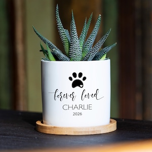 May include: A white cylindrical ceramic planter containing a green succulent. The planter features a black paw print icon, the text "forever loved", the name "CHARLIE", and the year "2026" printed in black. It sits on a round bamboo saucer.