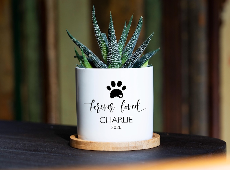 May include: A white cylindrical ceramic planter containing a green succulent. The planter features a black paw print icon, the text "forever loved", the name "CHARLIE", and the year "2026" printed in black. It sits on a round bamboo saucer.