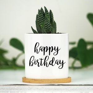 Happy Birthday Gift Box -  3&quot; White Ceramic Pot w/ Bamboo Tray - Friendship Gift, Birthday Gift Box, Gift for Her, Care Package