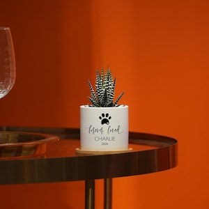 May include: A white cylindrical ceramic planter containing a small green and white striped succulent plant. The planter features a black paw print icon above the text "forever loved" followed by the name "CHARLIE" and the year "2026" in black.