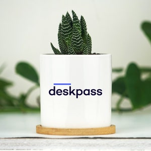 Corporate Gift Planter With Custom Business Logo - FREE SHIPPING - 3" Mini White Ceramic Pot w/ Tray - Holiday Gift - Employee Gifts