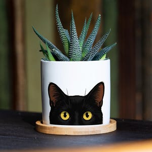 Könnte beinhalten: Ein weißer zylindrischer Pflanzentopf mit einer grafischen Illustration einer schwarzen Katze mit leuchtend gelben Augen. Der Topf steht auf einem runden hellen Holzsockel und enthält eine grüne Sukkulente mit spitzen, texturierten Blättern.