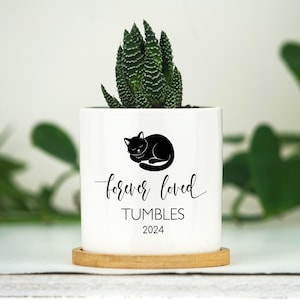 Personalized Cat Memorial Gift Planter - 3" White Pot - Cat Sympathy Gift, Cat Planter, Cat Loss Gifts, Cat Plant pot, Black Cat Memorial
