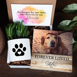 Personalized Dog Memorial Gift - 6&quot; Photo Block + Planter - Pet Memorial Gift, Dog Memorial Frame , Loss of Dog Gift, Pet Memorial Gift Box