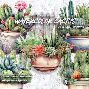 Planta de cactus, imágenes prediseñadas de cactus de acuarela, imágenes prediseñadas de flores PNG, imágenes de cactus del desierto, plantas en macetas colgantes, descarga digital para uso comercial