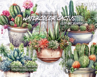 Planta de cactus, imágenes prediseñadas de cactus de acuarela, imágenes prediseñadas de flores PNG, imágenes de cactus del desierto, plantas en macetas colgantes, descarga digital para uso comercial