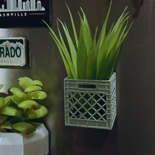 Mini Crate Air Plant Magnet | Fridge Magnets | 3D Printed Home Decor