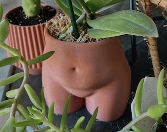 Curvy Peachy Planter | Modern 3D Printed Home Decor | Terracotta